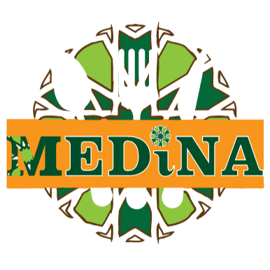 Medina Erlangen Team